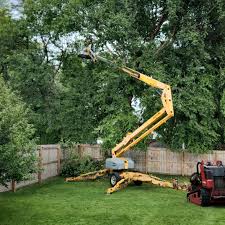 Trusted Eufaula, OK  Tree Services Experts